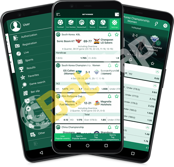 Discover the Excitement of Baji Live Your Gateway to Online Gaming