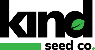 Regular Autoflower Seeds USA A Comprehensive Guide to Cultivation