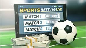 Everything You Need to Know About Hulusport Bet Everything You Need to Know About Hulusport Bet